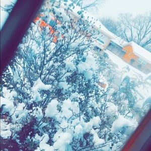 Meet your Posher, Denae